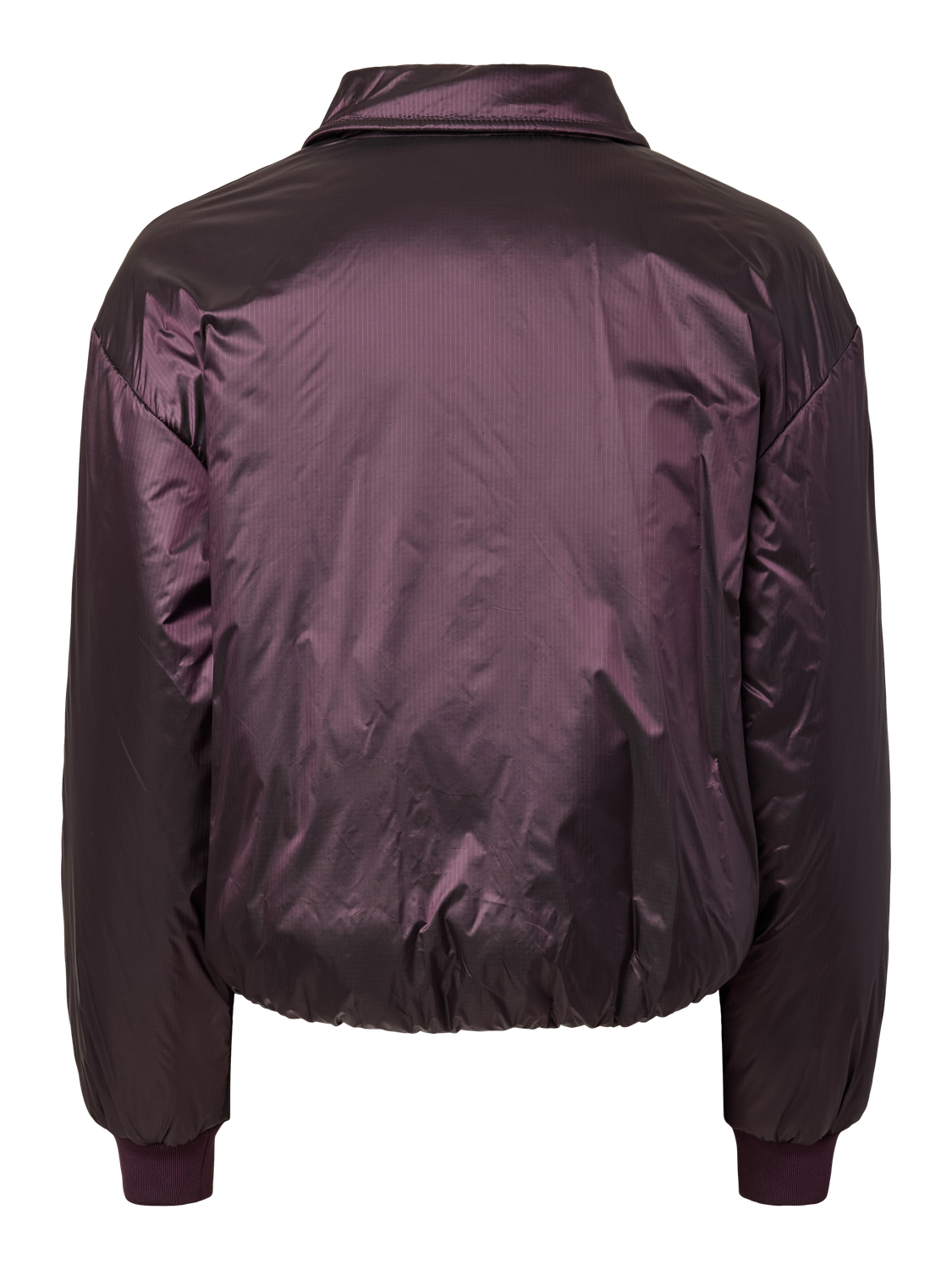 pack_shot-back